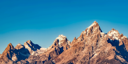 Event: CIO Roundtable: The New Divergence